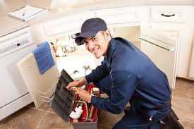 Best Garbage Disposal Repair and Installation  in Genesee, CO